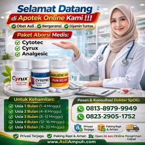 Jual Obat Aborsi Cytotec 400 mg dan Obat Penggugur Kandungan Asli - Cara Menggugurkan Kandungan usia Kehamilan 1-5 Bulan secara Alami dan Cepat selesai dalam 1 Hari