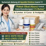Obat Aborsi Cytotec 400 mcg dan Obat Penggugur Kandungan Tanpa Kuret - Cara Menggugurkan Kandungan usia 1, 2, 3, 4, 5 Bulan dengan Cepat selesai dalam 24 jam secara Alami